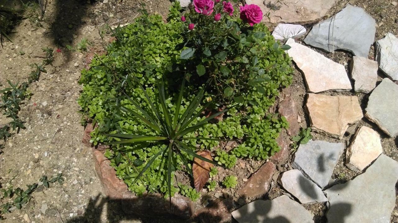 Apartman Restovic Bol Kültér fotó